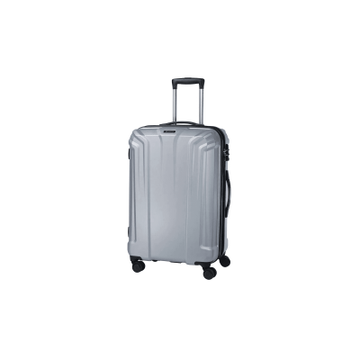 BLAZE SPINNER SILVER 69/25