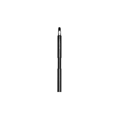 318 RETRACTABLE LIP BRUSH
