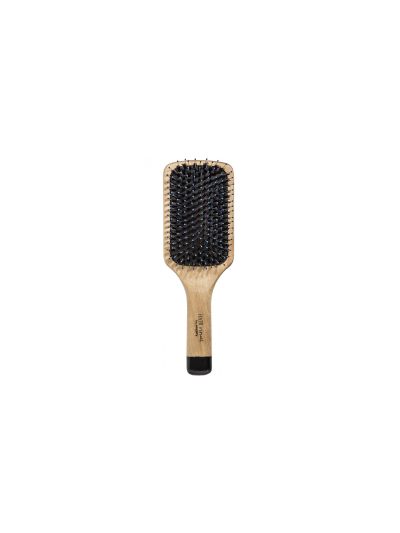 THE RADIANCE BRUSH