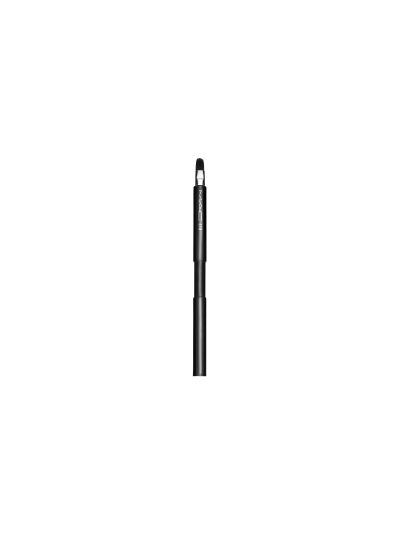 318 RETRACTABLE LIP BRUSH